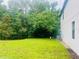 Spacious backyard with lush lawn, ideal for outdoor activities and entertaining at 3428 Tranquil Trail, Kissimmee, FL 34747