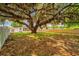 Large backyard featuring a majestic oak tree covered in Spanish moss providing shade and character to the property at 4116 Winona Dr, Orlando, FL 32812