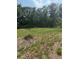 View of lot with ample green space at 2220 Woods Trl, Lakeland, FL 33809