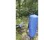 On the property is a well water system with a large blue pressure tank and pump at 2220 Woods Trl, Lakeland, FL 33809