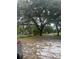 A spacious yard is partially covered with an old oak tree at 2220 Woods Trl, Lakeland, FL 33809