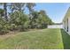 Large backyard with a black metal fence and mature trees offering privacy at 229 St Thomas Dr, Mulberry, FL 33860