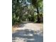 Long, tree-lined driveway leading to the property, offering privacy and seclusion at 2748 Cr 543, Sumterville, FL 33585