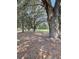 Scenic view of grassy land with mature, mossy trees casting shadows in a rural atmosphere at 2748 Cr 543, Sumterville, FL 33585