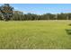 Expansive green pasture, perfect for livestock or recreation at 2748 Cr 543, Sumterville, FL 33585