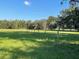 Green pasture with a rustic barbed wire fence running along the boundary at 2748 Cr 543, Sumterville, FL 33585