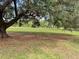 Lush green property featuring mature trees with Spanish moss and ample shade at 2748 Cr 543, Sumterville, FL 33585