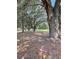 Picturesque lot featuring mature trees with Spanish moss and ample shade at 2748 Cr 543, Sumterville, FL 33585