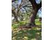 Backyard featuring a charming bench, lush lawn and majestic oak trees at 2748 Cr 543, Sumterville, FL 33585