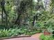 Community hiking trail near Rainbow Falls featuring tropical plants and a wooden fence at 9530 Sw 189Th Ct, Dunnellon, FL 34432