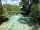Beautiful water view with clear waters, showcasing natural surroundings and inviting scenery at 9530 Sw 189Th Ct, Dunnellon, FL 34432