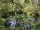 Calm water view with surrounding trees, featuring reflections of the sky and lush, verdant foliage at 9530 Sw 189Th Ct, Dunnellon, FL 34432