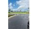Street view in Buena Lago community in Florida with palm trees and blue skies at 3974 Mekong Ct, St Cloud, FL 34772