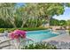Beautiful in-ground pool with lush greenery, perfect for relaxation and outdoor entertaining at 2110 Reaney Rd, Lakeland, FL 33803