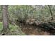 Scenic view of a tranquil creek surrounded by lush trees at 1625 Itchepackesassa Dr, Lakeland, FL 33810