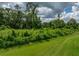 Spacious backyard backing onto dense woods, offering privacy and a natural backdrop at 3952 Laurel Branch Dr, Lakeland, FL 33810