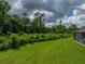 Spacious backyard bordering natural landscape with lush greenery and mature trees at 3952 Laurel Branch Dr, Lakeland, FL 33810