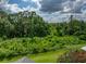 Lush green trees and vegetation fill this yard and green space at 3952 Laurel Branch Dr, Lakeland, FL 33810