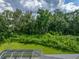 Expansive, verdant backyard with screened-in patio providing seamless indoor-outdoor living at 3952 Laurel Branch Dr, Lakeland, FL 33810