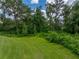 Lush, expansive backyard blending with natural woodland, creating a private outdoor oasis at 3952 Laurel Branch Dr, Lakeland, FL 33810