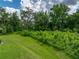 Lush backyard merging with a densely vegetated area, providing a private, natural buffer at 3952 Laurel Branch Dr, Lakeland, FL 33810