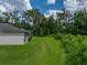 Large backyard with lush green grass and mature trees, ideal for outdoor enjoyment at 3952 Laurel Branch Dr, Lakeland, FL 33810