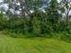 Expansive backyard with dense woodland backdrop, ensuring ultimate privacy and serenity at 3952 Laurel Branch Dr, Lakeland, FL 33810
