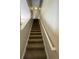 Carpeted stairway leading to the upper level of the home with a painted handrail at 10303 Park Commons Dr, Orlando, FL 32832