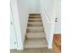 Carpeted staircase with white railing leading to the upper level at 222 Carpenters Way # 71, Lakeland, FL 33805