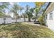 Spacious backyard with lush lawn, mature trees, and a white privacy fence at 2800 E Anderson St, Orlando, FL 32803