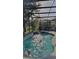 Private screened-in pool with a beach ball, offering a fun and relaxing outdoor space at 189 Minniehaha Cir, Haines City, FL 33844