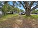 Residential lot featuring a large tree, shed, and parked vehicles at 2912 Fletcher Ave, Lakeland, FL 33803