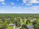 Expansive aerial view of a residential neighborhood surrounded by lush greenery and mature trees under a partly cloudy sky at 4221 Meadowbend Ct, Lakeland, FL 33811