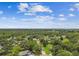 Wide aerial shot capturing a community nestled among trees and vegetation, beneath a blue sky dotted with clouds at 4221 Meadowbend Ct, Lakeland, FL 33811