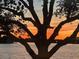 Picturesque sunset through tree branches overlooking a tranquil lake, casting a warm, golden hue at 12684 Willstatter Ave, Orlando, FL 32827