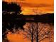 Scenic view of an orange sunset over a calm lake, framed by silhouetted trees and reflective waters at 12684 Willstatter Ave, Orlando, FL 32827