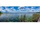 Panoramic lake view with lily pads and greenery under a bright, cloudy sky, showcasing waterfront beauty at 2292 Se 170Th Avenue Rd, Silver Springs, FL 34488
