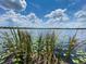 Picturesque lake view featuring lily pads and tall grass under a blue sky with fluffy white clouds at 2292 Se 170Th Avenue Rd, Silver Springs, FL 34488