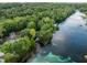 Expansive river view boasting clear waters, lush vegetation, and a charming riverfront home at 9700 Sw 196 Circle, Dunnellon, FL 34432