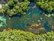 Overhead river shot with clear waters, lush trees, and kayakers paddling peacefully at 9700 Sw 196 Circle, Dunnellon, FL 34432