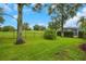 Green backyard featuring a lush lawn, landscaping and fence at 3897 Beacon Ridge Way, Clermont, FL 34711
