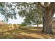 Large backyard featuring mature trees, fenced perimeter, and lush green grass at 4462 Iris S St, Lakeland, FL 33813