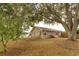 Backyard of a home with a large tree, a shed, and an orange kayak at 4462 Iris S St, Lakeland, FL 33813