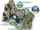 Community map highlighting key locations such as pools and villas within the neighborhood at 7810 Whitemarsh Way, Reunion, FL 34747