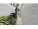 Well-maintained side yard with a stone pathway, offering a private and quiet outdoor space at 7810 Whitemarsh Way, Reunion, FL 34747
