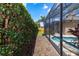 Backyard view featuring a pool with a screened-in enclosure and a tall privacy hedge at 433 Woodcrest St, Winter Springs, FL 32708