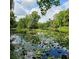 Beautiful lake view filled with lily pads, surrounded by a lush green forest under a cloudy blue sky at 2242 Soaring Eagle Pl, Lake Mary, FL 32746