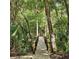 Scenic wooden walkway through a lush forest, framed by tall trees and tropical plants at 2242 Soaring Eagle Pl, Lake Mary, FL 32746