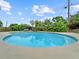 Backyard pool surrounded by lush greenery, lounge chairs, and privacy fence at 1238 Honeytree E Ln, Lakeland, FL 33801