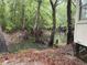 Creek is part of the backyard with lush trees along the border at 12828 Sw 49Th Ter, Webster, FL 33597